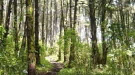 Timeline: Certificaciones