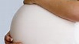 Timeline: Heidi Wurzinger