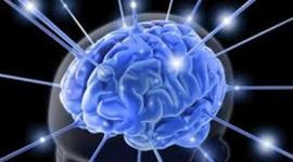 Timeline: linea de tiempo cronologia