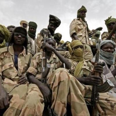 Timeline: Of Beetles & Angels