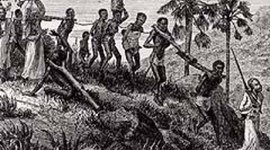 Timeline: Slave Trade Sources