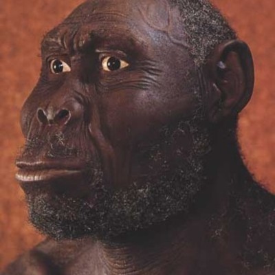 Timeline: The History of the English Language