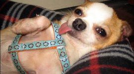 Timeline: Revolutionary War Timeline