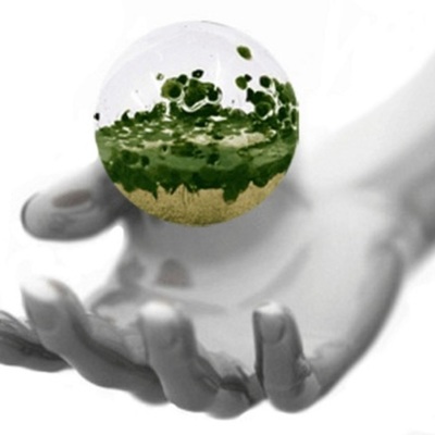 Timeline: Historia de la Certificación