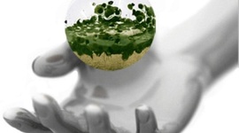 Timeline: Historia de la Certificación