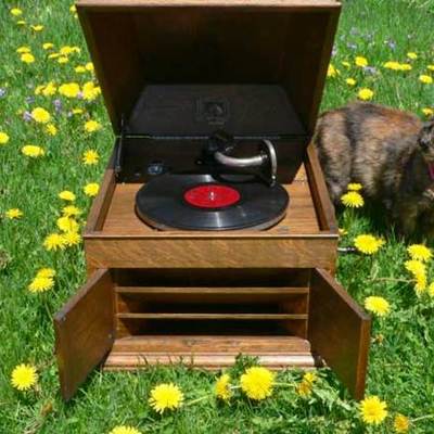 Timeline: Maria,Liz and OMar