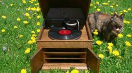 Timeline: Maria,Liz and OMar