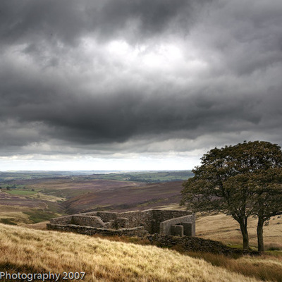 Timeline: Historical Context