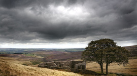 Timeline: Historical Context