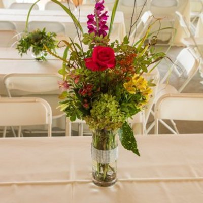 Timeline: Scientific Revolutions