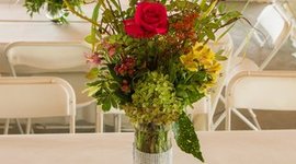 Timeline: Scientific Revolutions