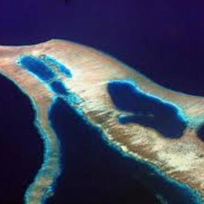 Timeline: Island of the Blue Dolphins