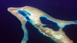 Timeline: Island of the Blue Dolphins