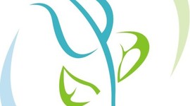 Timeline: Escuelas psicologicas