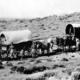 Pioneers wagon