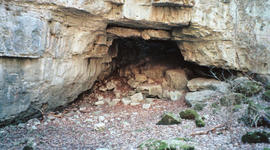 Timeline: sofija's F.N.O.M.