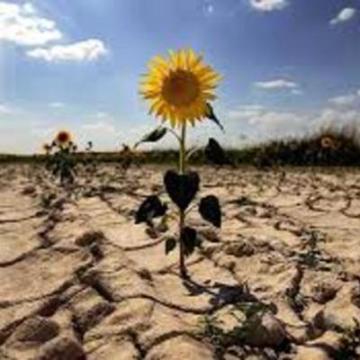 Timeline: Amargo balance de tragedias