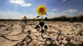 Timeline: Amargo balance de tragedias