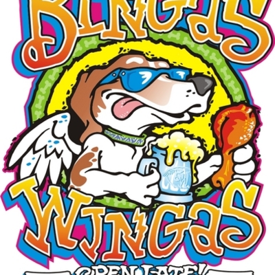 Timeline: Binga's Wingas, History