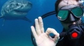 Timeline: Let's Moodle