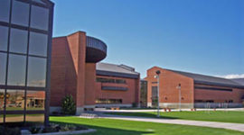 Timeline: Lance Briggs