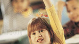 Timeline: Progreso según Objetivos