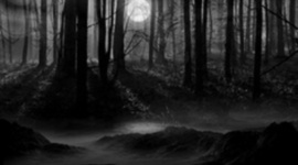 Timeline: The Scarlet Letter plot structure