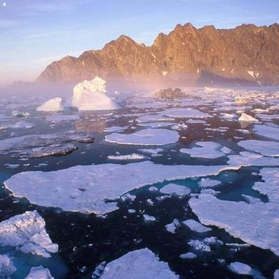 Timeline: Conférences et sommet contre le rechauffement climatique