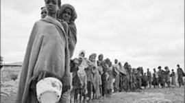 Timeline: World HUnger