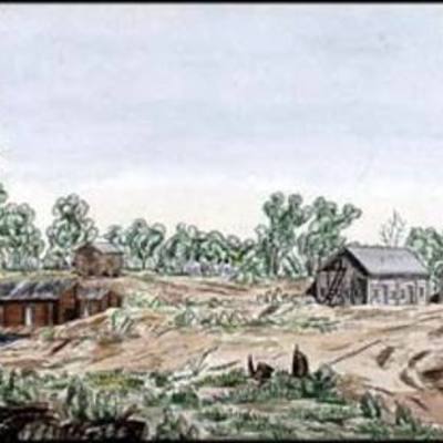 Timeline: BSA cmartin Selkirk Timeline