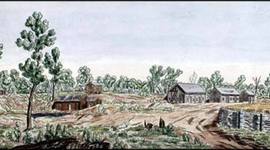 Timeline: BSA cmartin Selkirk Timeline