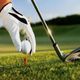 Imagen de golf