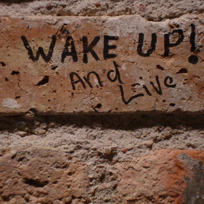 Timeline: 2009 Forecast