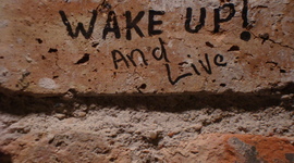 Timeline: 2009 Forecast