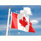 6428.canadian flag