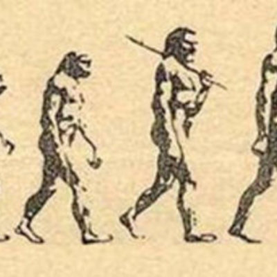 Timeline: El origen del hombre