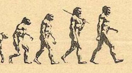 Timeline: El origen del hombre