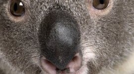 Timeline: Unión Europea