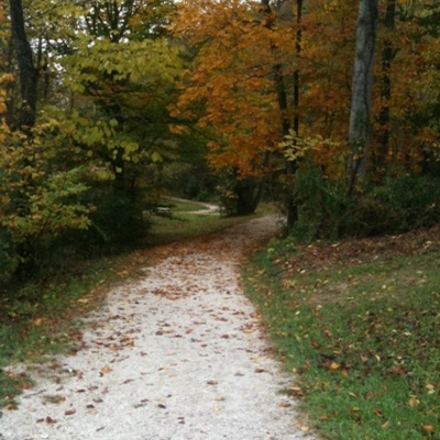 Timeline: History of the Counseling Profession