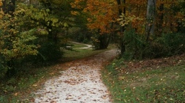 Timeline: History of the Counseling Profession