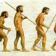 Caricatura evolucion humana