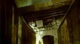 Timeline: Doppelganger by: David Stahler Jr.