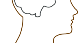 Timeline: Painting Timeline