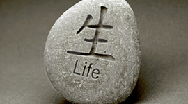 Timeline: Major Events of My Life