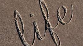 Timeline: History of Life