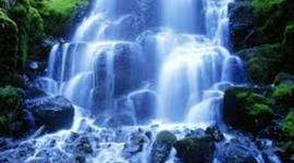 Timeline: Naturaleza