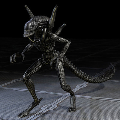 Timeline: My life's timeline