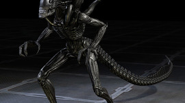 Timeline: My life's timeline