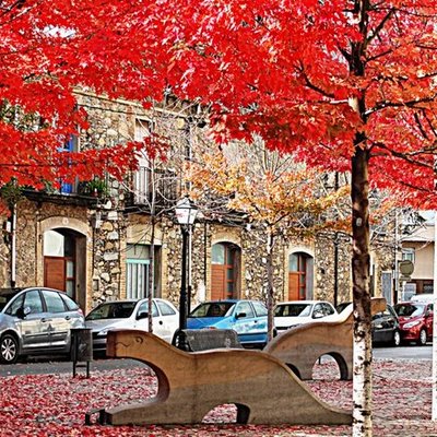 Timeline: Com ha canviat Salt