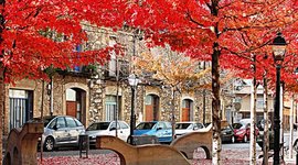 Timeline: Com ha canviat Salt